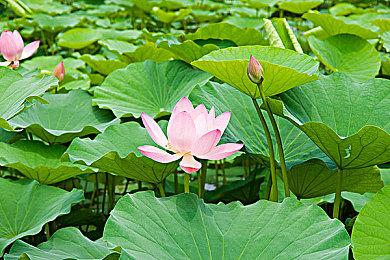 微软：《使命召唤》和动视暴雪其他人气游戏在协议到期后会继续登陆PS平台